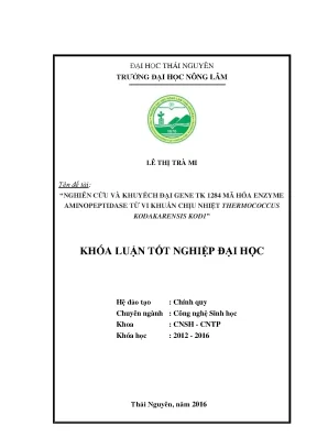 Luận văn thạc sĩ nghiên cứu và khuyếch đại gene tk 1284 mã hóa enzyme peptidase của vi khuẩn chịu nhiệt thermonococcus kodakarensis kod1