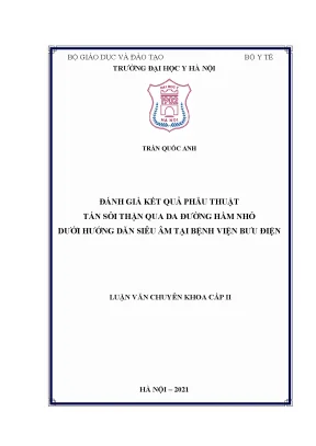 Luận văn thạc sĩ luận văn thạc sĩ y học đánh giá kết quả phẫu thuật tán sỏi thận qua da đường hầm nhỏ dưới hướng dẫn siêu âm tại bệnh viện bưu điện