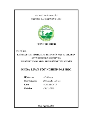 Luận văn thạc sĩ khảo sát tình hình kháng thuốc của một số vi khuẩn gây nhiễm trùng bệnh viện tại bệnh viện đa khoa trung ương thái nguyên