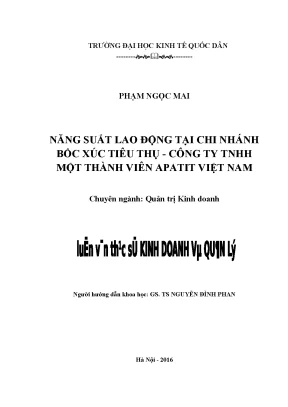 Luận văn thạc sĩ năng suất lao động tại chi nhánh bốc xúc tiêu thụ công ty trách nhiệm hữu hạn một thành viên apatit việt nam