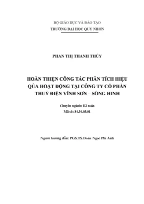Luận văn thạc sĩ hoàn thiện công tác phân tích hiệu quả hoạt động tại công ty cổ phần thủy điện vĩnh sơn sông hinh
