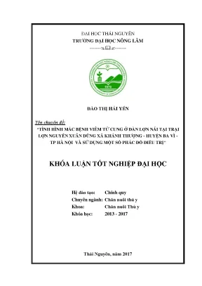 Luận văn tình hình mắc bệnh viêm tử cung ở đàn lợn nái tại trại lợn nguyễn xuân dũng xã khánh thượng huyện ba vì thành phố hà nội và sử dụng một số phác đồ điều trị