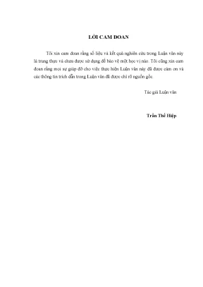 Luận văn thạc sĩ thực hiện chính sách hỗ trợ thanh niên phát triển kinh tế trên địa bàn huyện phù mỹ tỉnh bình định