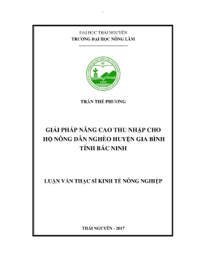 Luận văn giải pháp nâng cao thu nhập cho hộ nông dân nghèo huyện gia bình tỉnh bắc ninh