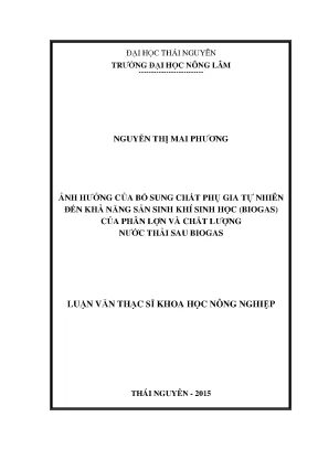 Luận văn thạc sĩ ảnh hưởng của bổ sung chất phụ gia tự nhiên đến khả năng sản sinh khí sinh học biogas của phân lợn và chất lượng nước thải sau biogas