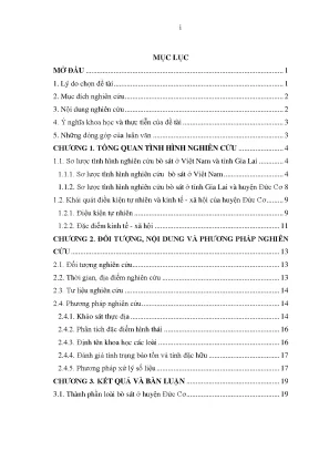 Luận văn thạc sĩ nghiên cứu đa dạng loài đặc điểm phân bố và giá trị bảo tồn của khu hệ bò sát ở huyện đức cơ tỉnh gia lai