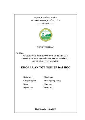 Luận văn nghiên cứu ảnh hưởng của kỹ thuật cấy theo hiệu ứng hàng biên đối với nếp thầu dầu ở phú bình thái nguyên