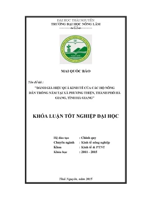 Luận văn thạc sĩ đánh giá hiệu quả kinh tế của các hộ trồng nấm tại xã phương thiện thành phố hà giang tỉnh hà giang