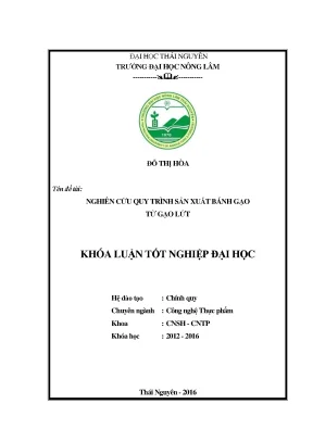 Luận văn thạc sĩ nghiên cứu quy trình sản xuất bánh gạo từ gạo lứt