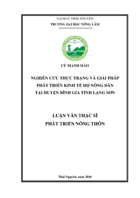 Luận văn thạc sĩ nghiên cứu thực trạng và giải pháp phát triển kinh tế hộ nông dân tại huyện bình gia tỉnh lạng sơn