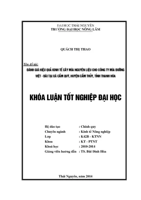 Luận văn thạc sĩ đánh giá hiệu quả kinh tế cây mía nguyên liệu cho công ty mía đường việt đài tại xã cẩm quý huyện cẩm thủy tỉnh thanh hóa