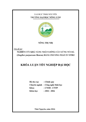 Luận văn thạc sĩ nghiên cứu khả năng nhân giống gừng núi đá zingiber purpureum roscoe bằng phương pháp in vitro