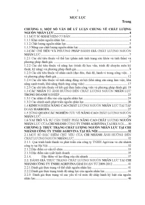 Luận văn nâng cao chất lượng nguồn nhân lực tại chi nhánh hà nội của công ty tnhh agrivina