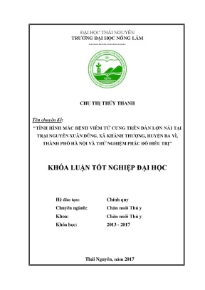 Luận văn tình hình mắc bệnh viêm tử cung trên đàn lợn nái tại trại nguyễn xuân dũng xã khánh thượng huyện ba vì thành phố hà nội và thử nghiệm phác đồ điều trị