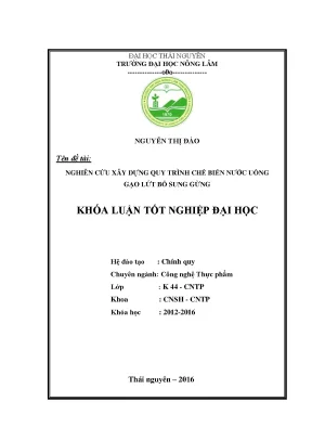 Luận văn thạc sĩ nghiên cứu xây dựng quy trình chế biến nước uống gạo lứt bổ sung gừng