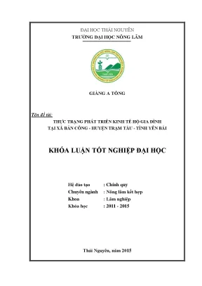 Luận văn thạc sĩ thực trạng pháp triển kinh tế hộ gia đình tại xã bản công huyện trạm tấu tỉnh yên bái