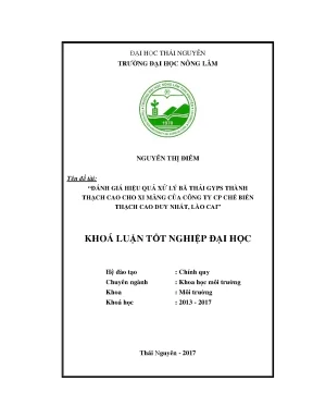 Luận văn đánh giá hiệu quả xử lý bã thải gyps thành thạch cao cho xi măng của công ty cp chế biến thạch cao duy nhất lào cai