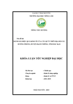 Luận văn thạc sĩ đánh giá hiệu quả kinh tế của cây quýt trên địa bàn xã dương phong huyện bạch thông tỉnh bắc kạn