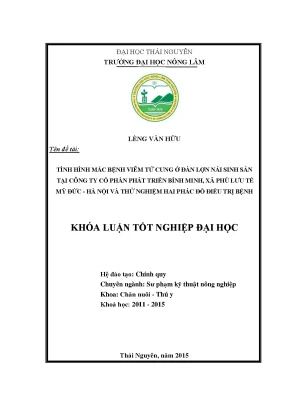 Luận văn thạc sĩ tình hình mắc bệnh viêm tử cung ở đàn lợn nái sinh sản tại công ty cổ phần phát triển bình minh xã phù lưu tế mỹ đức