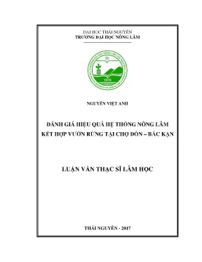 Luận văn đánh giá hiệu quả hệ thống nlkh vườn rừng tại chợ đồn bắc kạn