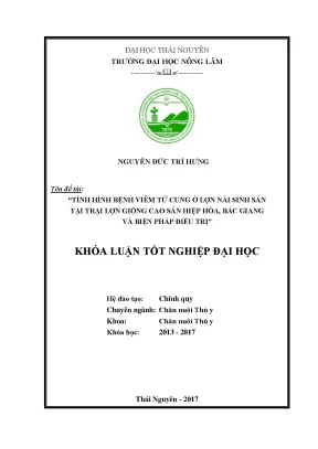 Luận văn tình hình bệnh viêm tử cung ở lợn nái tại trại lợn giống cao sản hiệp hòa bắc giang và thử nghiệm một số phác đồ điều trị