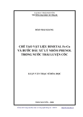 Luận văn thạc sĩ chế tạo vật liệu bimetal fe cu và bước đầu xử lý nhóm phenol trong nước thải luyện cốc