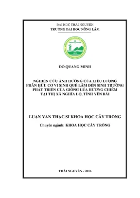 Luận văn thạc sĩ nghiên cứu ảnh hưởng của liều lượng phân hữu cơ vi sinh quế lâm đến sinh trưởng phát triển của giống lúa hương chiêm tại thị xã nghĩa lộ tỉnh yên bái