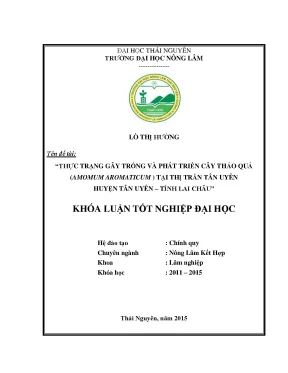 Luận văn thạc sĩ thực trạng gây trồng và phát triển cây thảo quả tại thị trấn tân uyên huyện tân uyên tỉnh lai châu