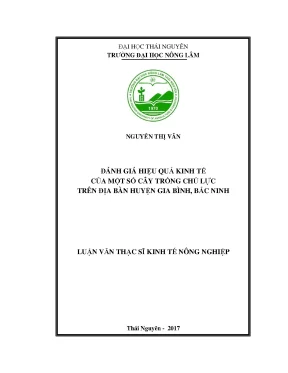 Luận văn đánh giá hiệu quả kinh tế của một số cây trồng chủ lực trên địa bàn huyện gia bình tỉnh bắc ninh