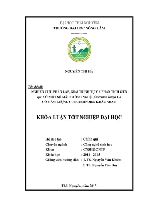 Luận văn thạc sĩ nghiên cứu phân lập giải trình tự và phân tích gen rps16 ở một số mẫu giống nghệ curcuma longa l có hàm lượng curcuminoids khác nhau