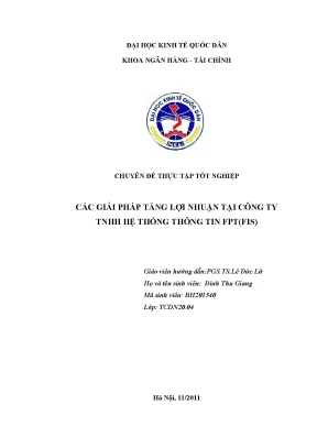 Luận văn thạc sĩ giải pháp tăng lợi nhuận tại công ty trách nhiệm hữu hạn hệ thống thông tin fpt fis