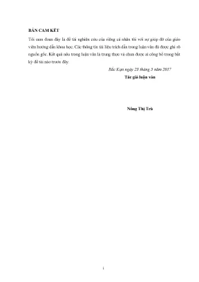 Luận văn thạc sĩ nghiên cứu hoàn thiện công tác quản lý dự án đầu tư xây dựng cung cấp nước sạch tại bắc kạn