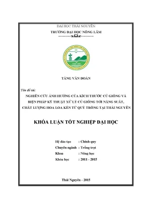 Luận văn thạc sĩ nghiên cứu ảnh hưởng của kích thước củ giống và biện pháp kỹ thuật xử lý củ giống tới năng suất chất lượng hoa loa kèn tứ quý trồng tại thái nguyên
