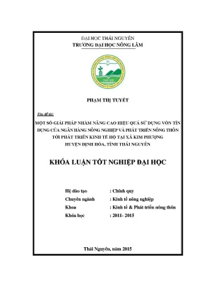 Luận văn thạc sĩ một số giải pháp nhằm nâng cao hiệu quả sử dụng vốn tín dụng của ngân hàng nông nghiệp và phát triển nông thôn tới phát triển kinh tế hộ tại xã kim phượng