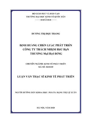 Luận văn định hướng chiến lược phát triển công ty trách nhiệm hữu hạn thương mại hợi đồng
