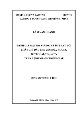 Luận văn thạc sĩ nghiên cứu cấu trúc pha trong một số mô hình vật lý không phục hồi đối xứng chiral