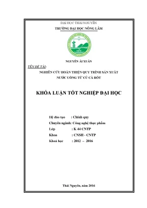 Luận văn thạc sĩ nghiên cứu hoàn thiện quy trình sản xuất nước uống từ củ cà rốt