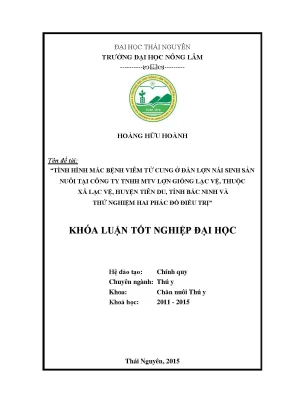 Luận văn thạc sĩ tình hình mắc bệnh viêm tử cung ở lợn nái sinh sản nuôi tại công ty tnhh mtv lợn giống lạc vệ xã lạc vệ huyện tiên du tỉnh bắc ninh
