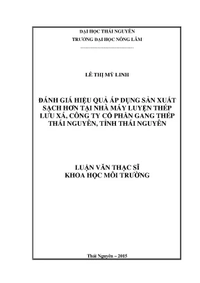 Luận văn thạc sĩ đánh giá hiệu quả áp dụng sản xuất sạch hơn tại nhà máy luyện thép lưu xá công ty cổ phần gang thếp thái nguyên tỉnh thái nguyên