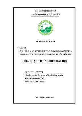Luận văn thạc sĩ tình hình mắc bệnh viêm tử cung ở lợn nái nuôi tại trại lợn cp mỹ đức hà nội và dùng thuốc điều trị