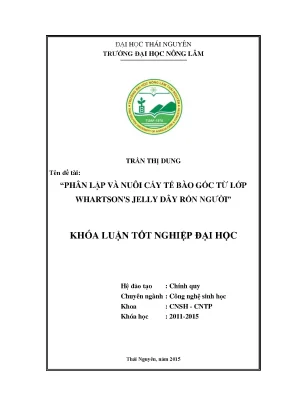 Luận văn thạc sĩ phân lập và nuôi cấy tế bào gốc từ lớp whartsons jelly dây rốn người