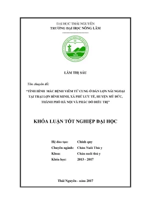 Luận văn tình hình mắc bệnh viêm tử cung ở đàn lợn nái ngoại tại trại lợn bình minh xã phù lưu tế huyện mỹ đức thành phố hà nội và phác đồ điều trị