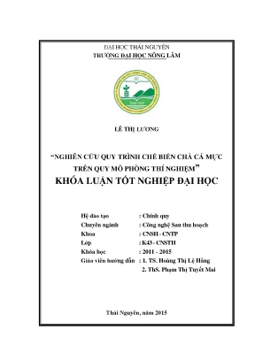 Luận văn thạc sĩ nghiên cứu quy trình chế biến chả mực trên quy mô phòng thí nghiệm