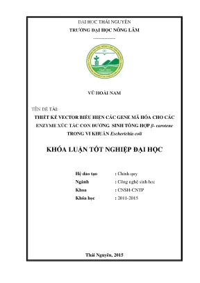 Luận văn thạc sĩ thiết kế vector biểu hiện các gene mã hóa cho các enzyme xúc tác quá trình sinh tổng hợp β carotene trong vi khuẩn escherichia coli