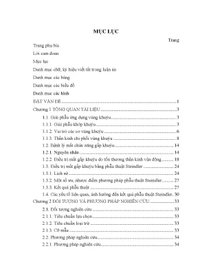 Luận văn thạc sĩ nghiên cứu một số yếu tố ảnh hưởng và kết quả điều trị phục hồi gấp khuỷu bằng phẫu thuật steindler cải biên