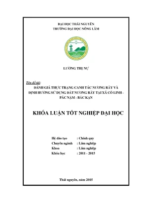 Luận văn thạc sĩ đánh giá thực trạng canh tác nương rẫy và định hướng sử dụng đất nương rẫy tại xã cổ linh pác nặm bắc kạn