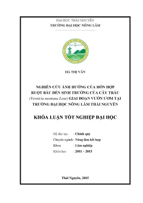 Luận văn thạc sĩ nghiên cứu ảnh hưởng của hỗn hợp ruột bầu đến sinh trưởng của cây trẩu vernicia montana lour giai đoạn vườn ươm tại trường đại học nông lâm