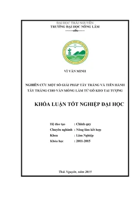 Luận văn thạc sĩ tìm hiểu một số giải pháp tẩy trắng và tiến hành tẩy trắng cho ván mỏng làm từ gỗ keo tai tượng