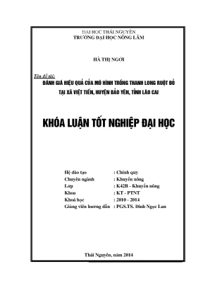 Luận văn thạc sĩ đánh giá hiệu quả của mô hình trồng thanh long ruột đỏ tại xã việt tiến huyện bảo yên tỉnh lào cai