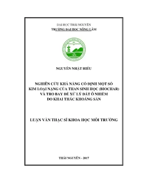 Luận văn thạc sĩ nghiên cứu khả năng cố định một số kim loại nặng của than sinh học biochar và tro bay để xử lý đất ô nhiễm do khai thác khoáng sản